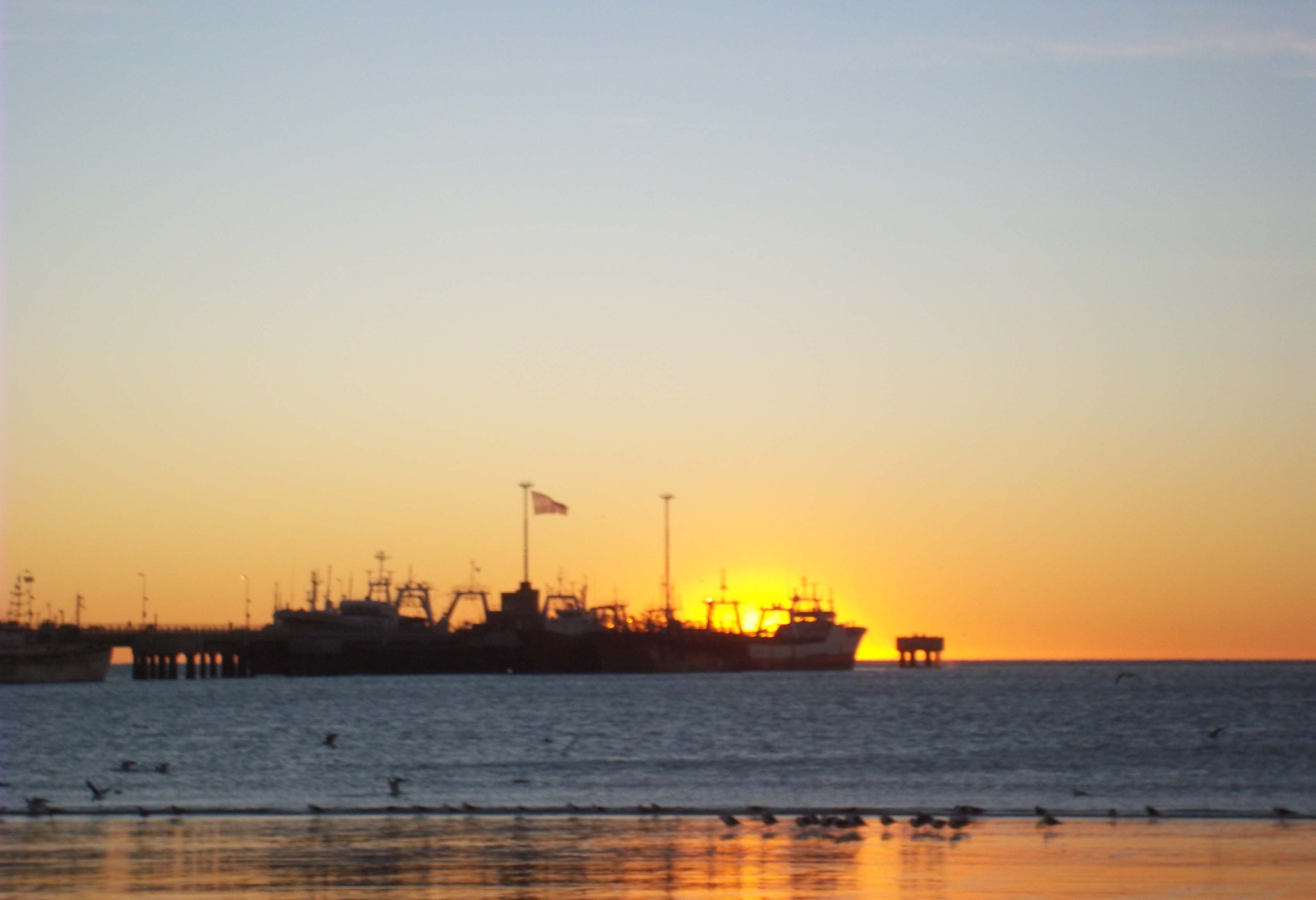 PUERTO MADRYN | BUS DESDE BAHIA BLANCA 15 OCTUBRE 2026