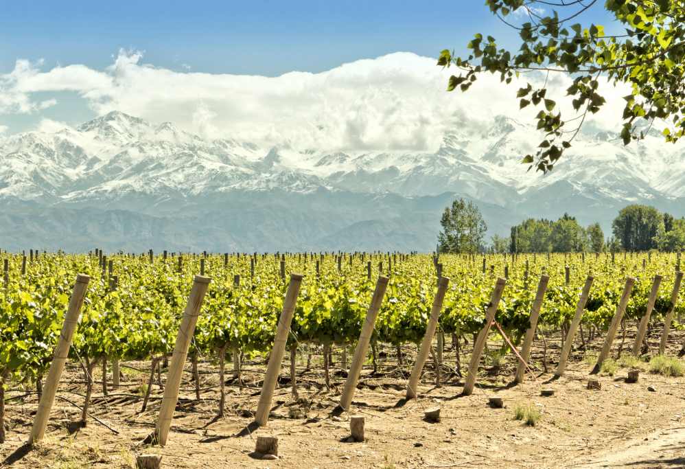 MENDOZA PREMIUM EN VACACIONES DE INVIERNO | EN BUS DESDE CORDOBA | 8 JULIO 2026