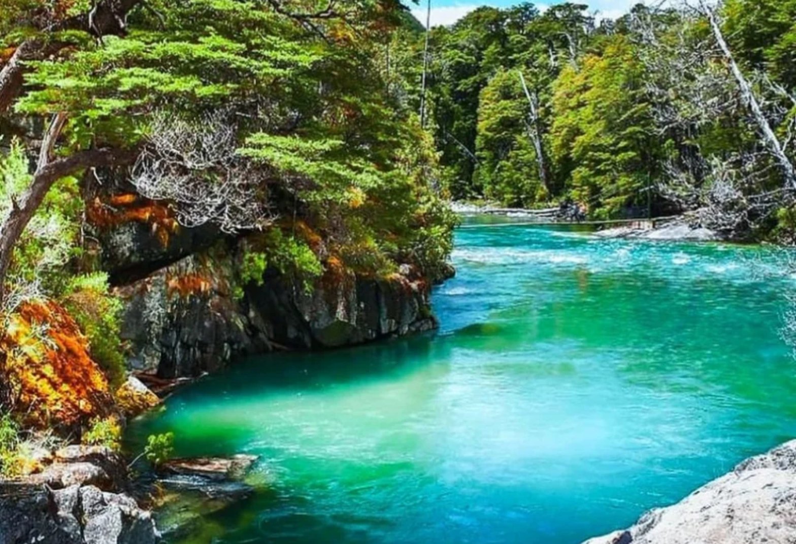 BARILOCHE, EL BOLSÓN Y CAMPO DE TULIPANES  | OCTUBRE 2026