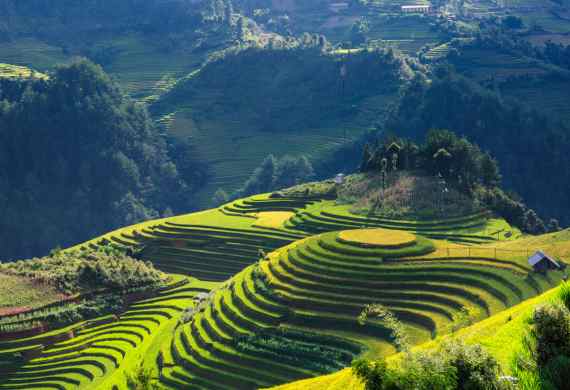 VIETNAM CAMBOYA Y TAILANDIA | GRUPAL ACOMPAÑADA DESDE BSAS | 20/2/2027