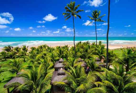 PORTO DE GALINHAS  | VUELO DIRECTO DESDE BS AS | AGOSTO Y SEPTIEMBRE 2026