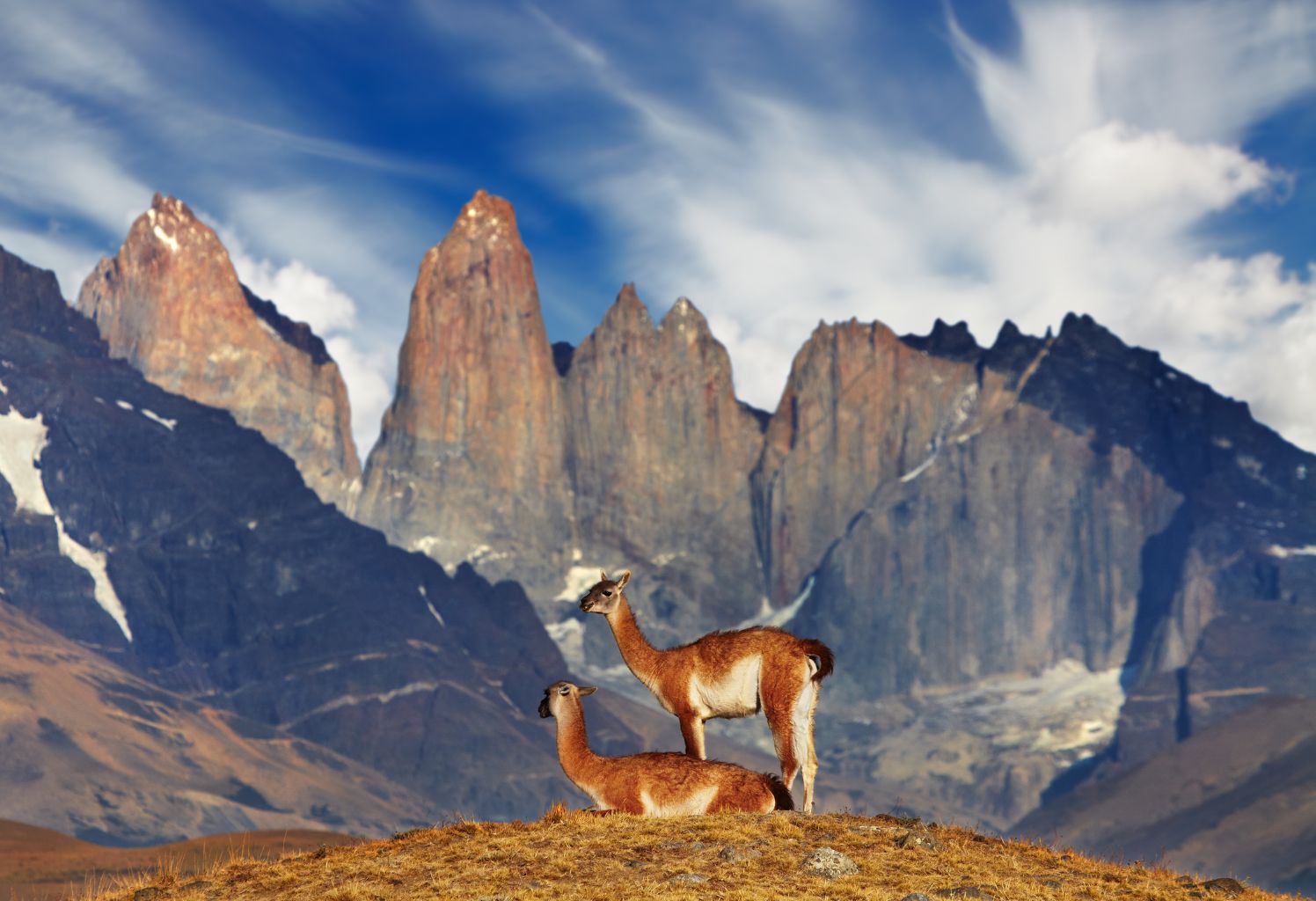 EL CALAFATE | USHUAIA CON TORRES DE PAINE Y PTA ARENAS | AEREO DESDE BUENOS AIRES | ENERO VERANO 2026