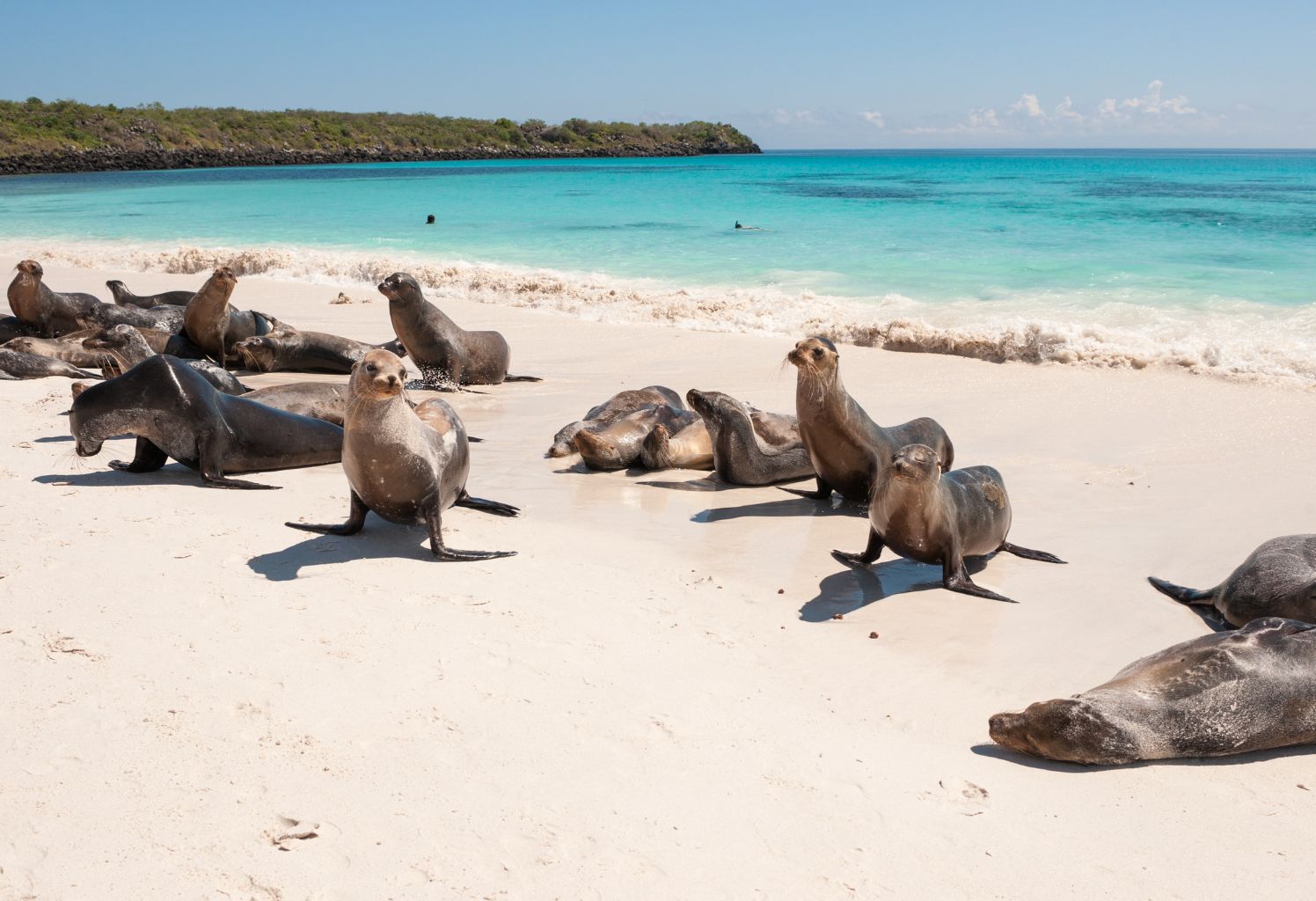 ECUADOR CON GALÁPAGOS EN PROMO |  | 10 DE OCTUBRE 2026
