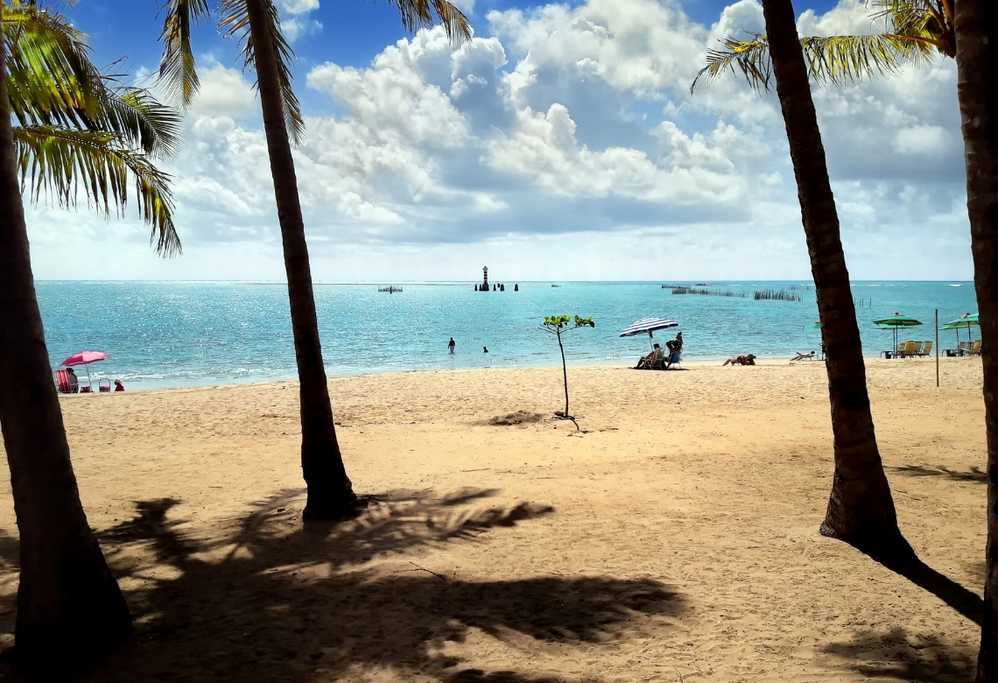 MACEIÓ EN VERANO  | VUELO CHARTER DESDE ROSARIO |  ENERO | FEBRERO 2027
