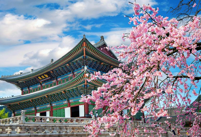 JAPON Y COREA | GRUPAL DESDE BUENOS AIRES | 11 DE OCTUBRE 2026