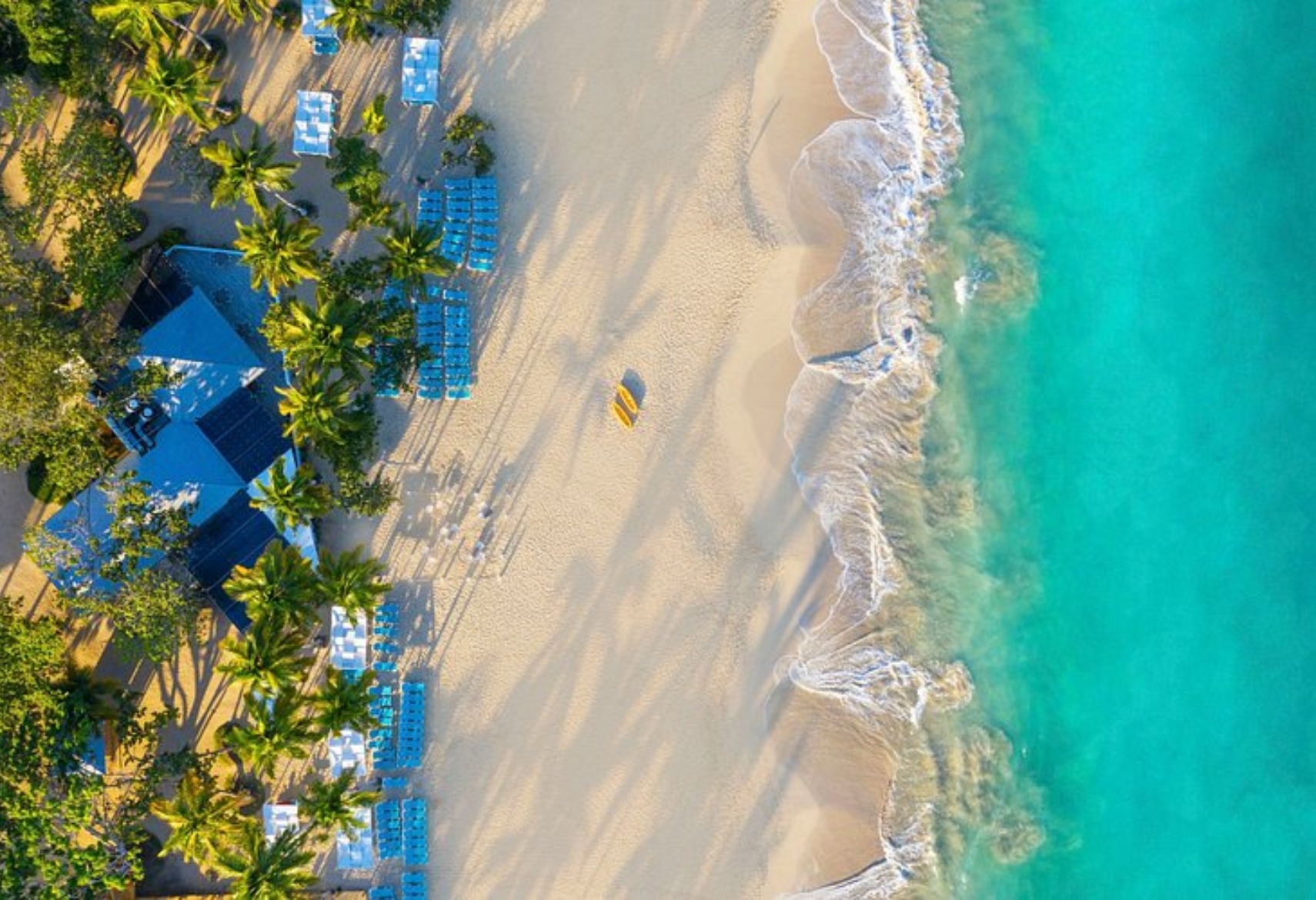 PUERTO PLATA | REP DOMINICANA |  17 DE AGOSTO 2026