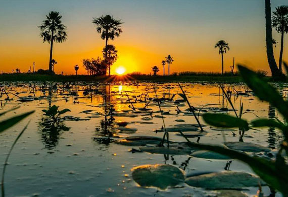 BAÑADOS Y SELVA | CON VUELOS DESDE ROSARIO | 17 DE SEPTIEMBRE 2026