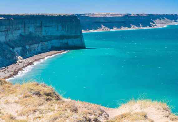 PUERTO MADRYN EN BUS DESDE ROSARIO, CASILDA, VENADO T Y ZONA   |  12 DE  JULIO 2026