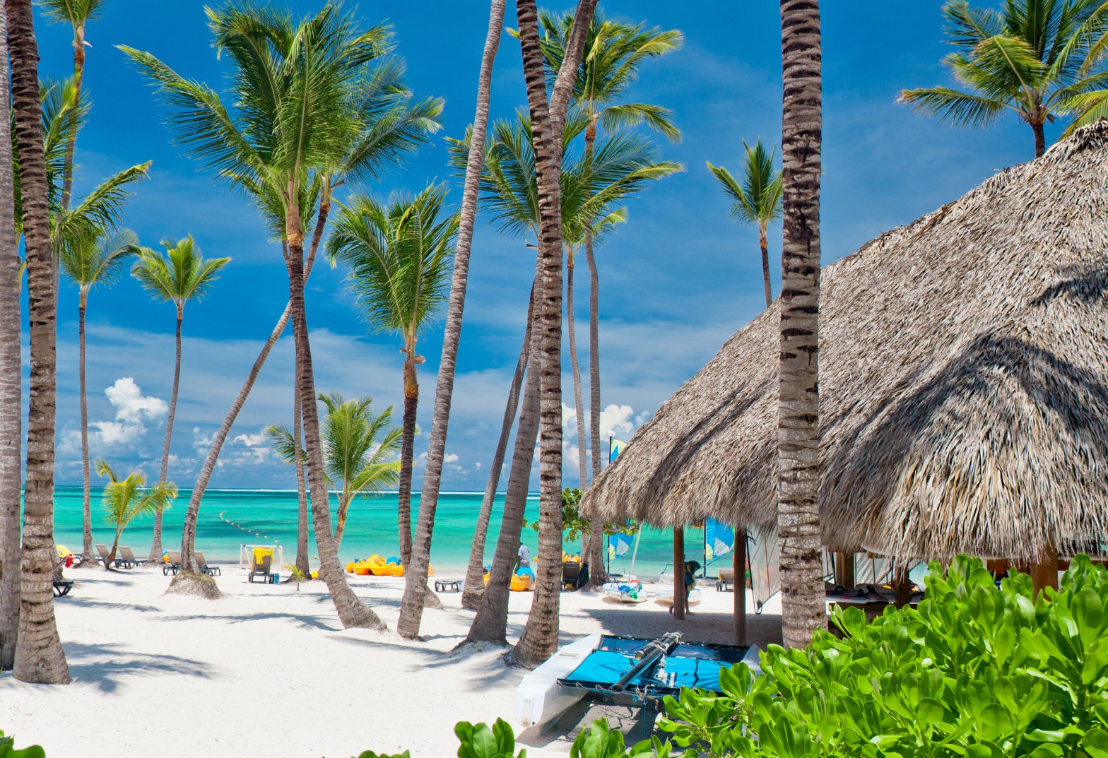 PUNTA CANA CON VUELO DIRECTO DESDE ROSARIO | 9 NOCHES | OCTUBRE  Y DICIEMBRE 2026