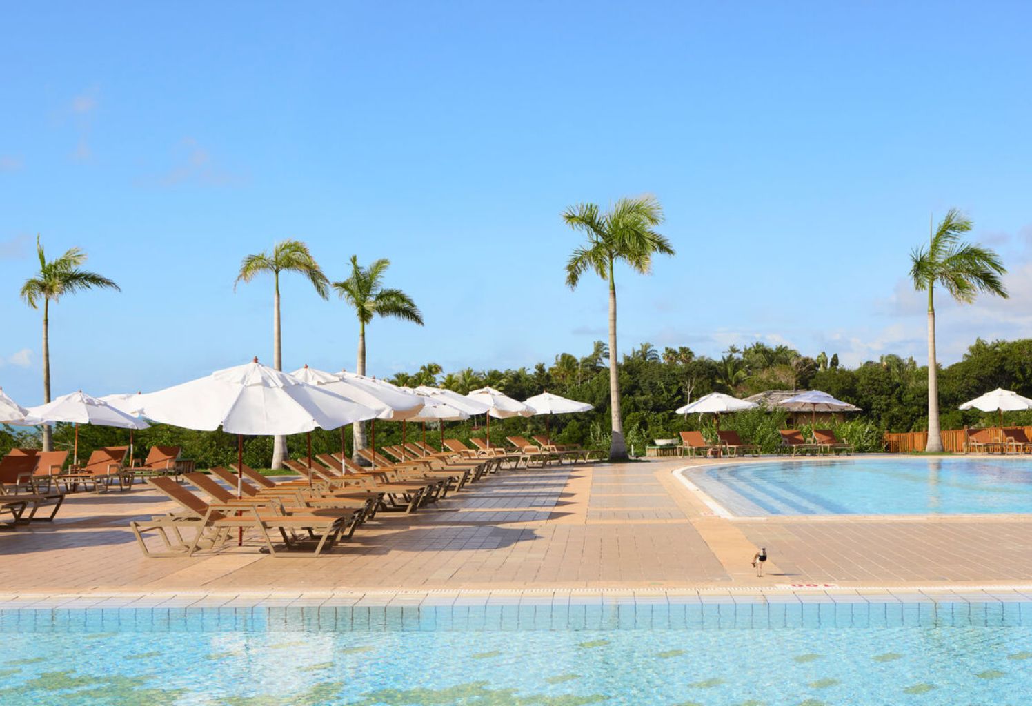 CLUB MED TRANCOSO EN FAMILIA | BAHIA BRASIL  |  ALL INCLUSIVE | OCTUBRE  2026