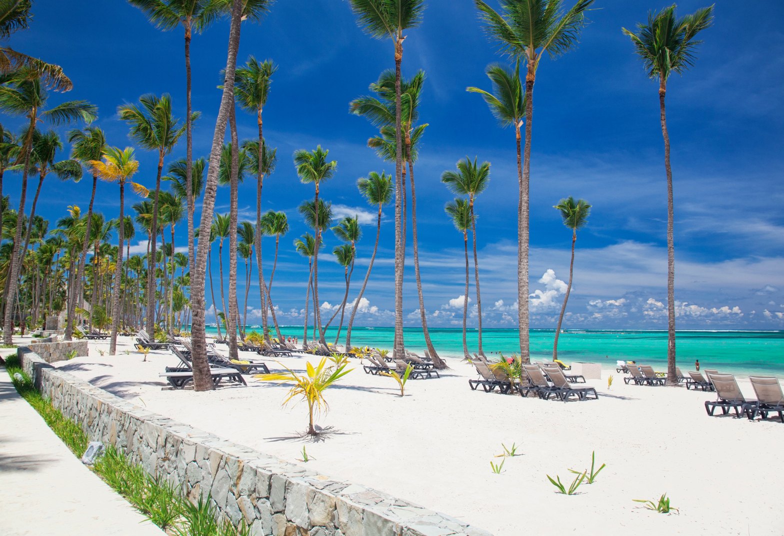 PUNTA CANA CON TODO INCLUIDO | DESDE MENDOZA | 17 DE OCTUBRE 2026