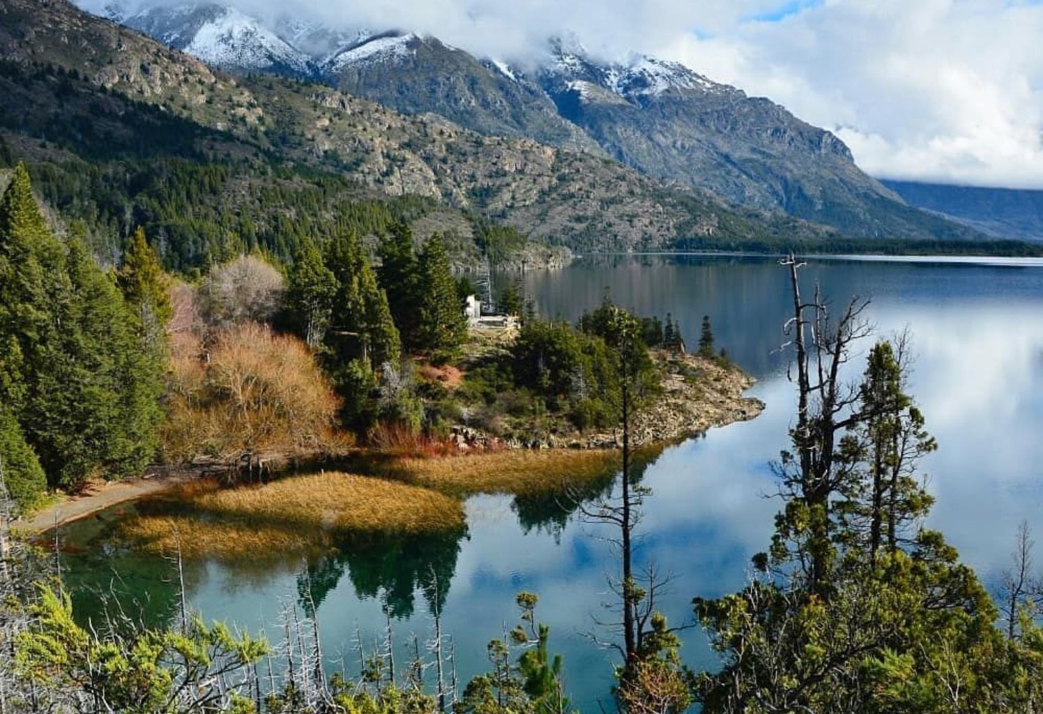 TULIPANES PATAGONICOS CON EXPERIENCIA EPUYEN  + BARILOCHE | 18 DE OCTUBRE 2026