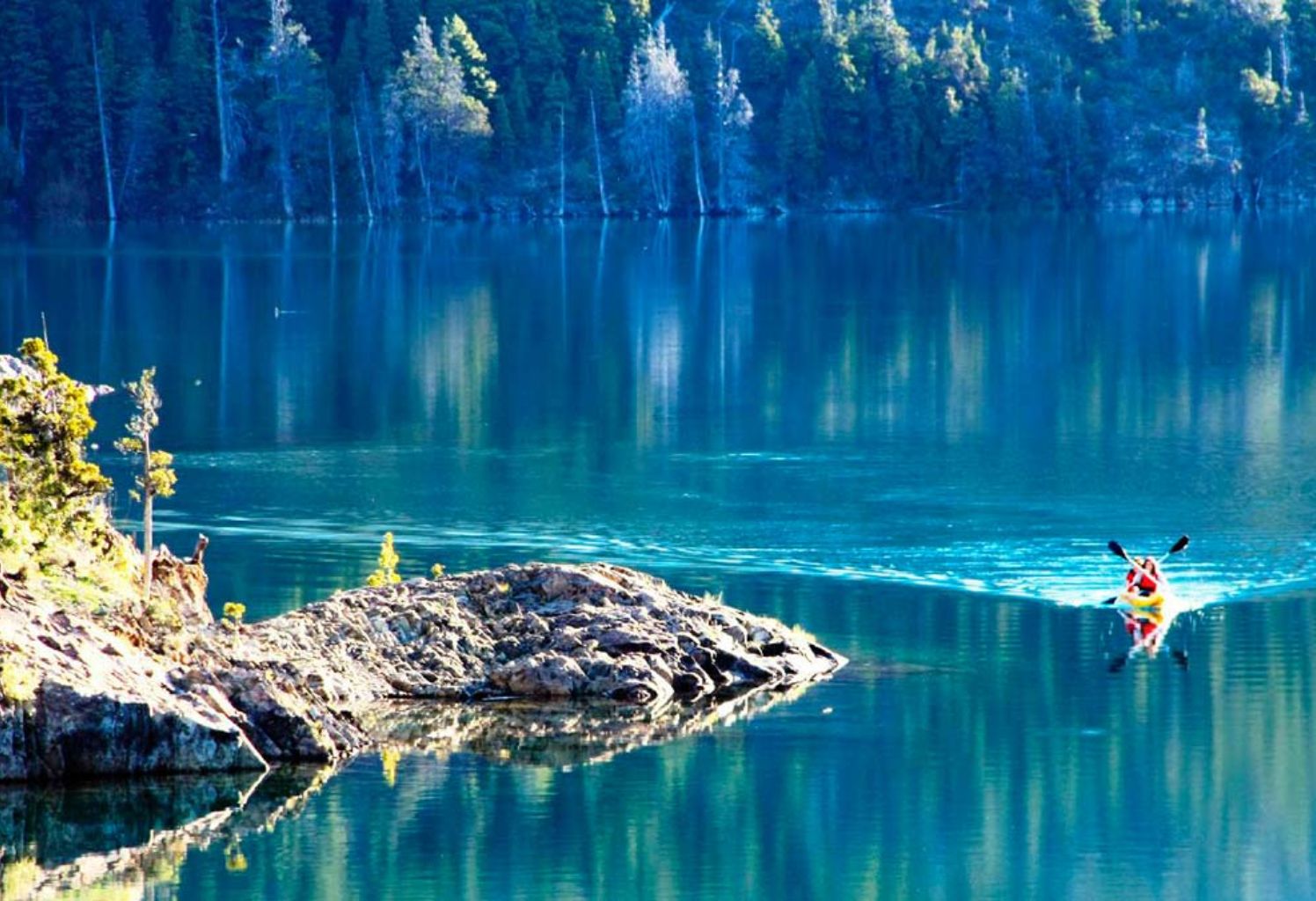 TULIPANES PATAGONICOS CON EXPERIENCIA EPUYEN  + BARILOCHE | 18 DE OCTUBRE 2026