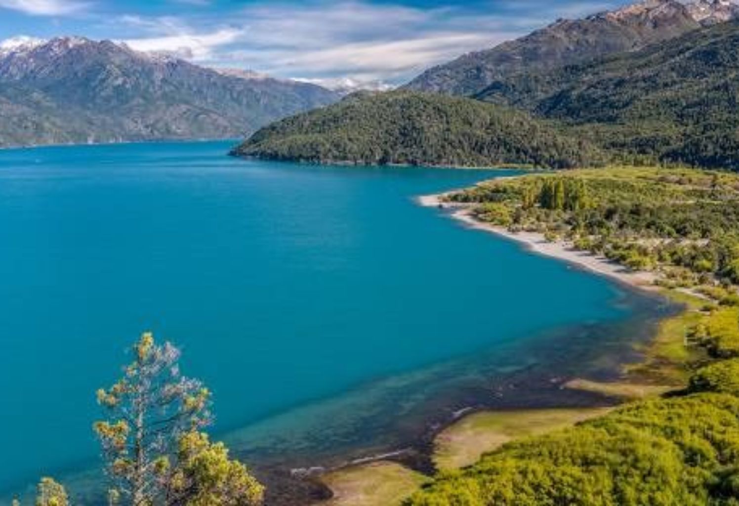 TULIPANES PATAGONICOS CON EXPERIENCIA EPUYEN  + BARILOCHE | 18 DE OCTUBRE 2026