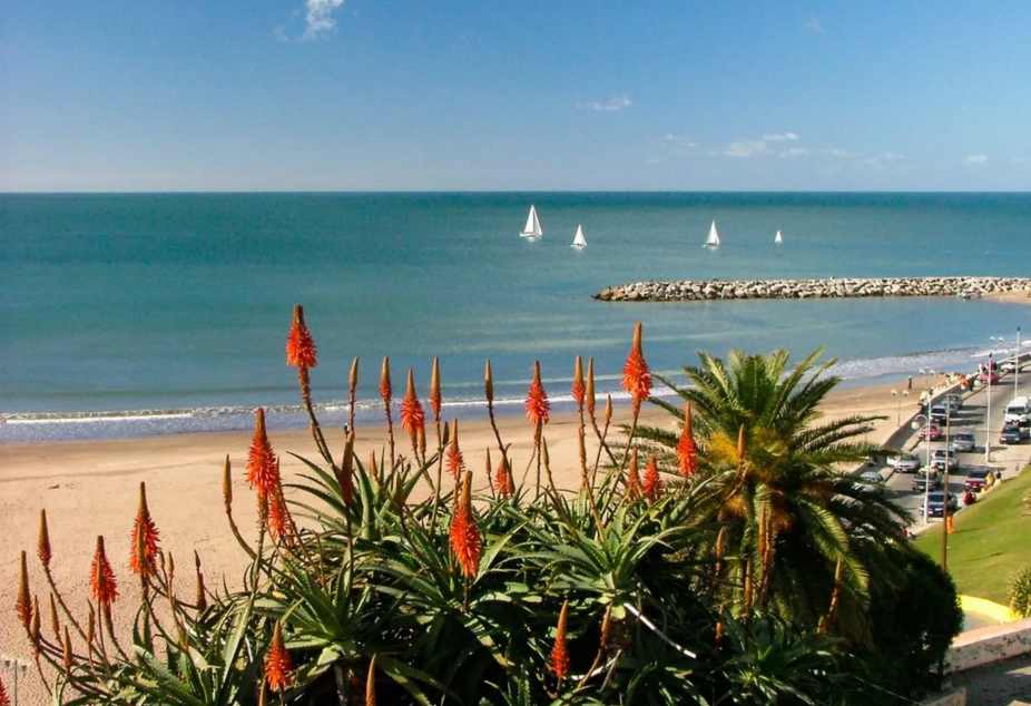 MAR DEL PLATA EN FIN DE AÑO | SALIDA EN BUS DESDE ROSARIO Y ZONA | 30/12/2026