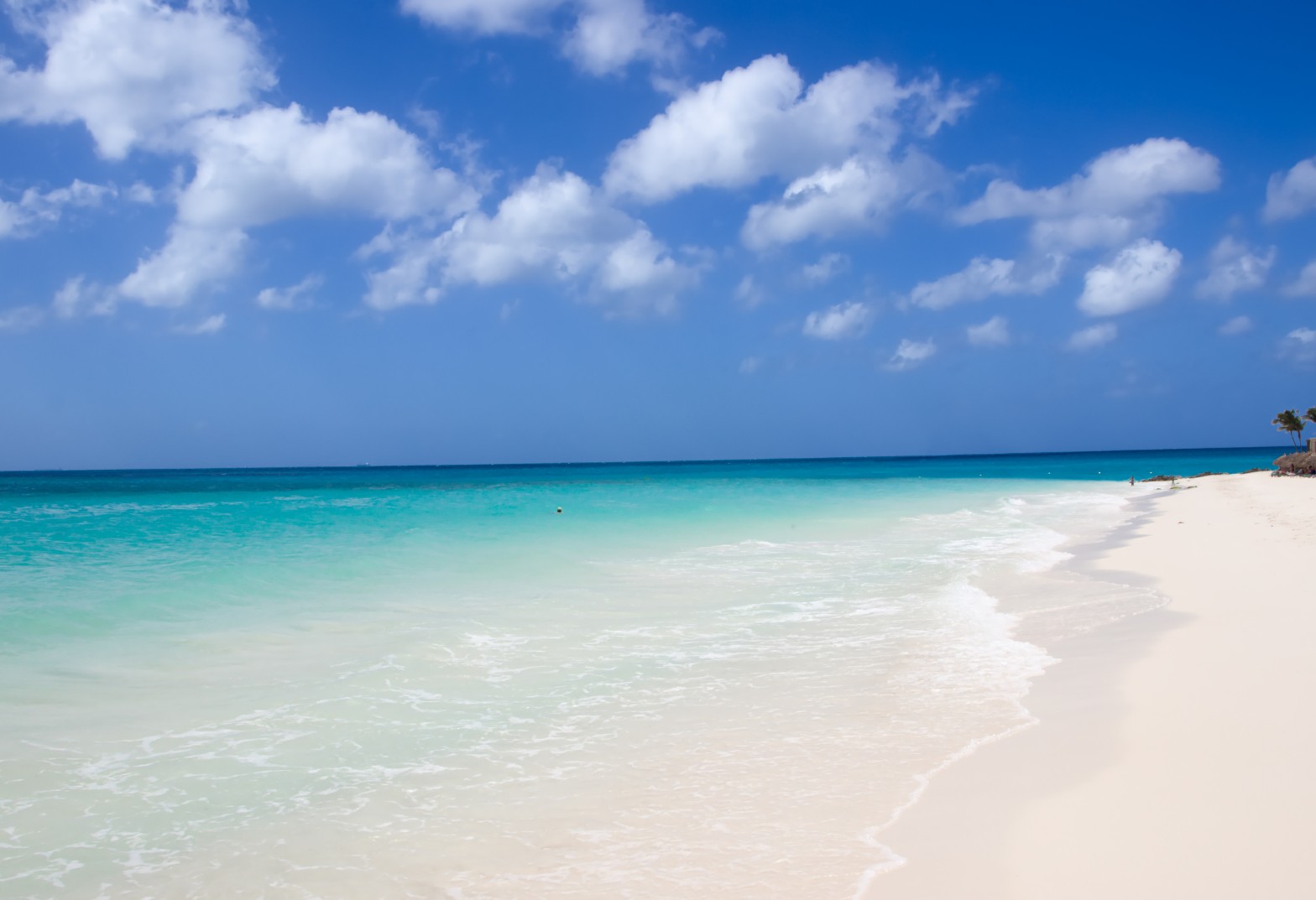 ARUBA EN VERANO | DESDE CÓRDOBA | ENERO A MARZO 2027