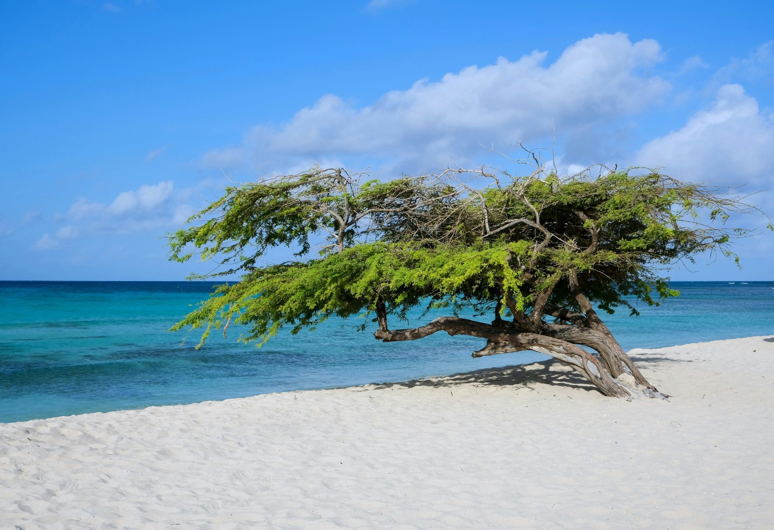 ARUBA LA ISLA FELIZ | PROMO DEPARTAMENTO | DESDE CÓRDOBA | 4 DE NOVIEMBRE 2026