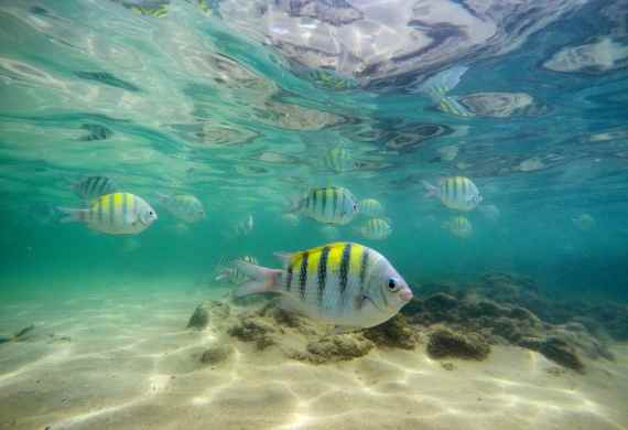PORTO DE GALINHAS | NOVIEMBRE Y DICIEMBRE 2026