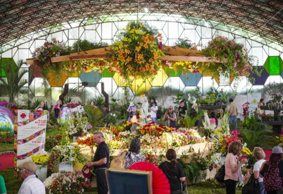 BUENOS AIRES FIESTA DE LA FLOR | BUS DESDE BAHIA BLANCA | 2 OCTUBRE 2026