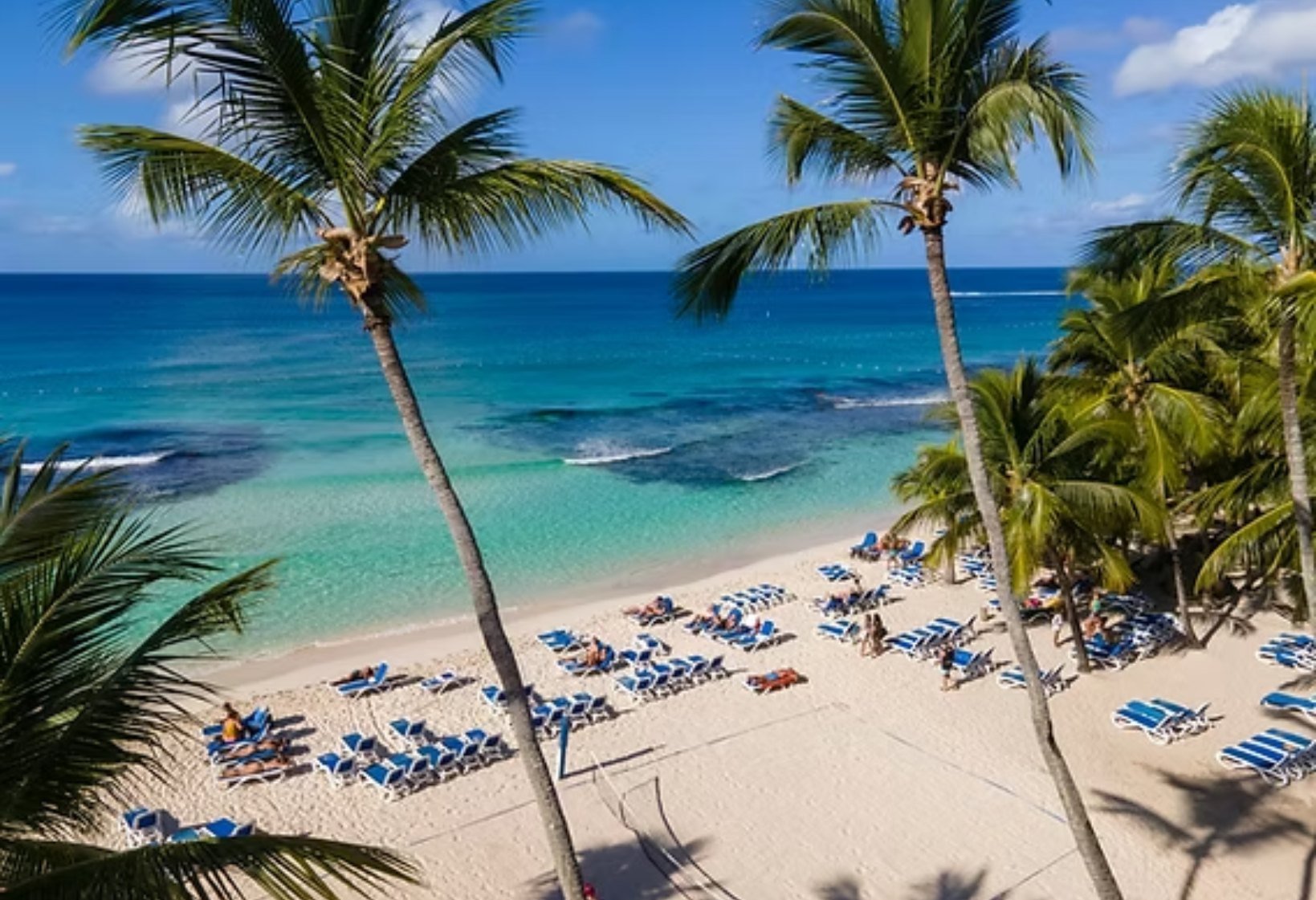 BAYAHIBE EN FAMILIA  | OCTUBRE Y NOVIEMBRE 2026