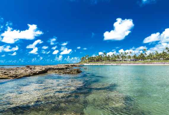 PORTO DE GALINHAS  EN PROMO | DESDE ROSARIO | 5 DE DICIEMBRE 2026