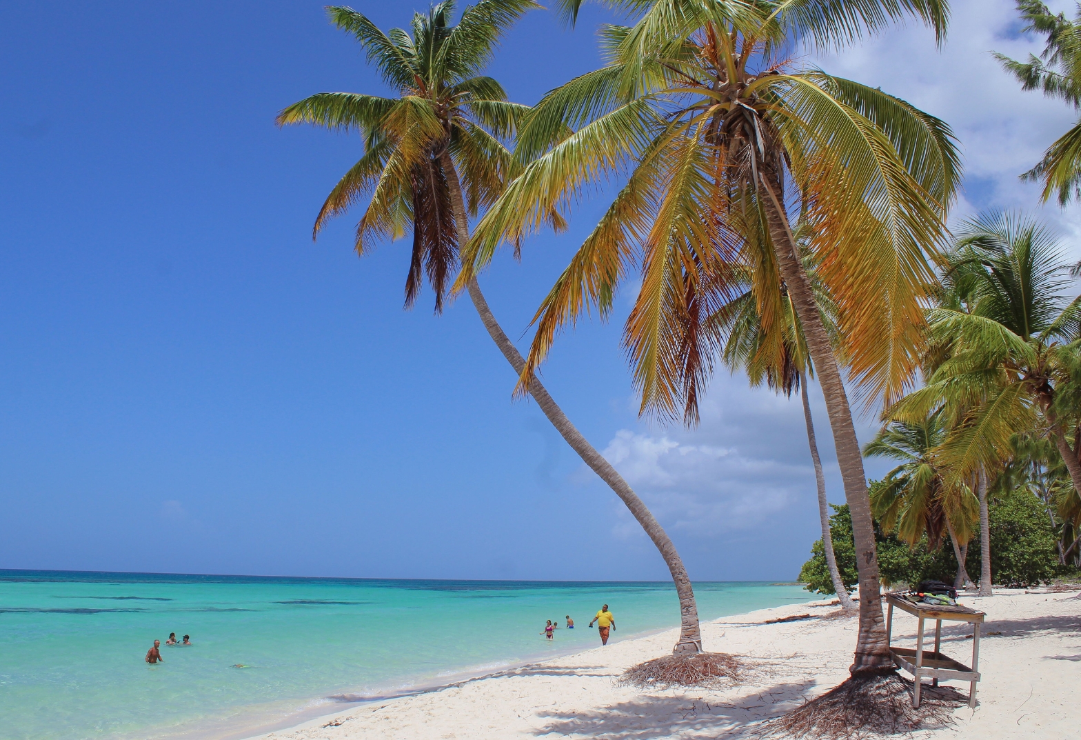 BAYAHIBE + PUNTA CANA EN VERANO | DESDE BS AS | 7 DE ENERO 2027