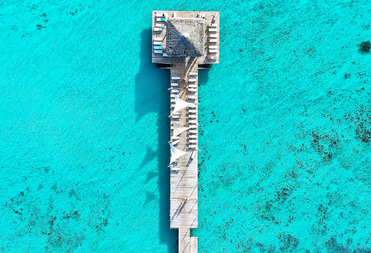 BAYAHIBE + PUNTA CANA EN VERANO | DESDE BS AS | 7 DE ENERO 2027